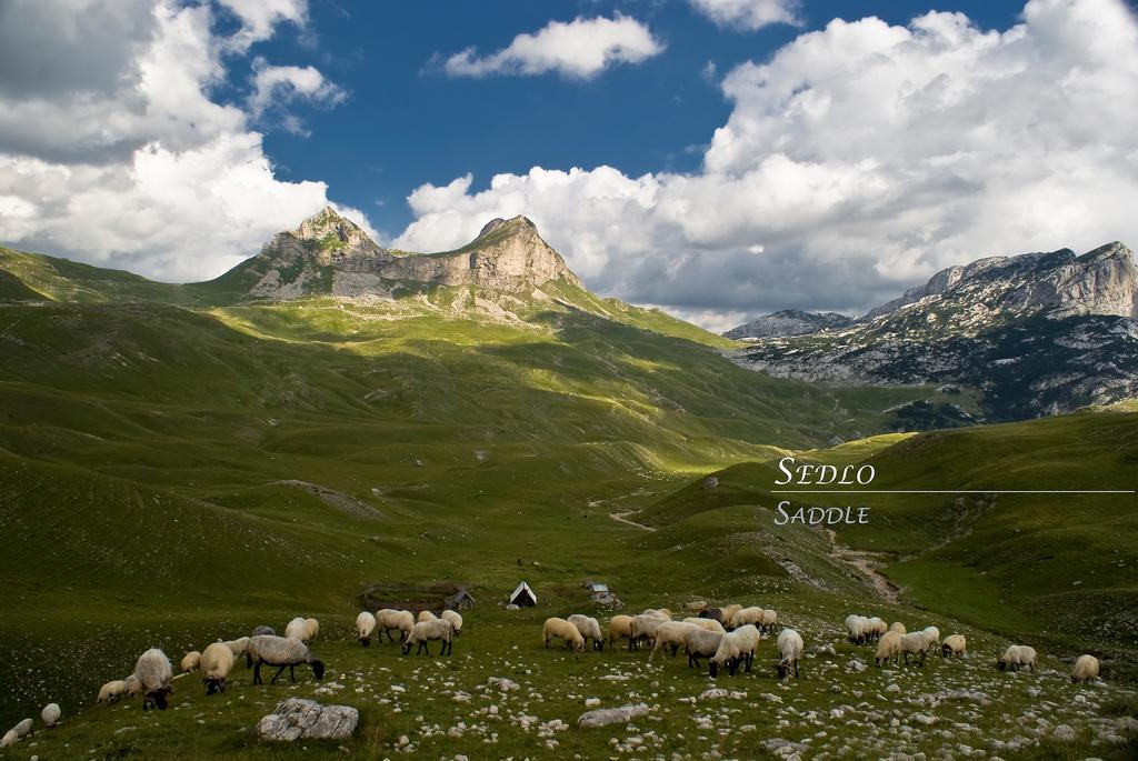 Apartments Peaks Žabljak Dış mekan fotoğraf